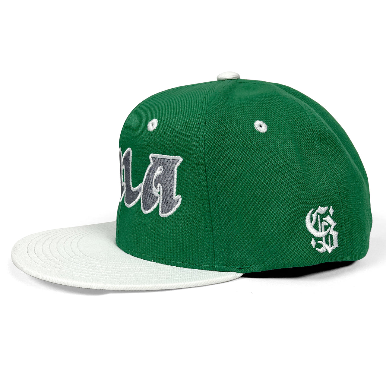 "Throwback" Snapback