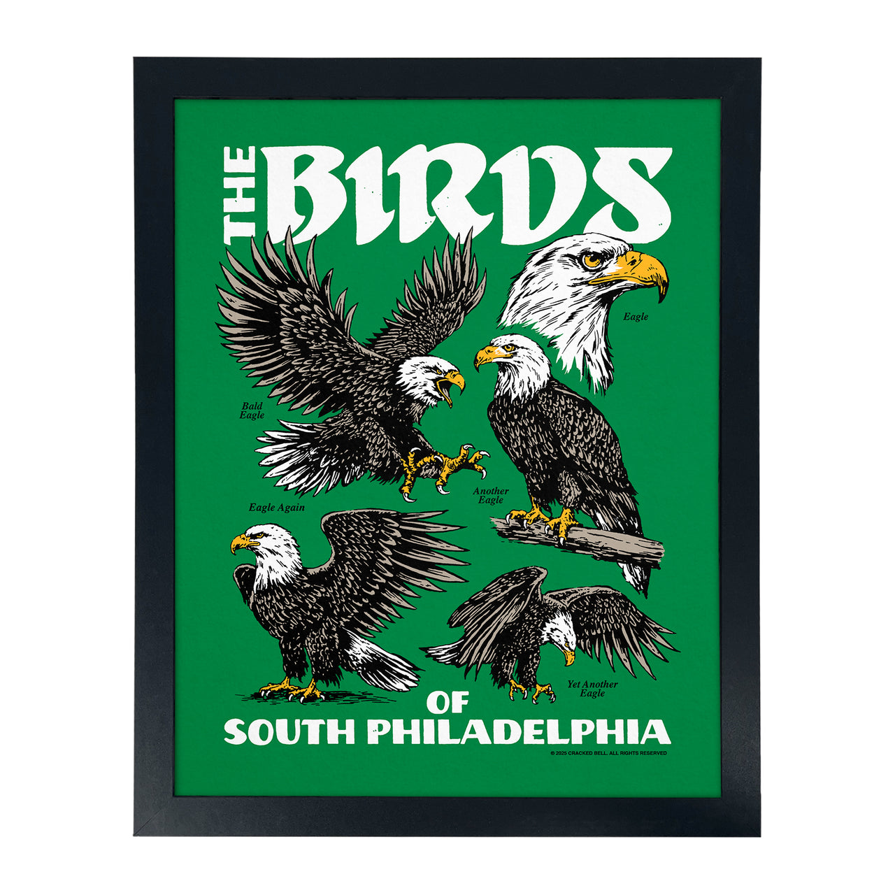 "Philly Birds" Poster