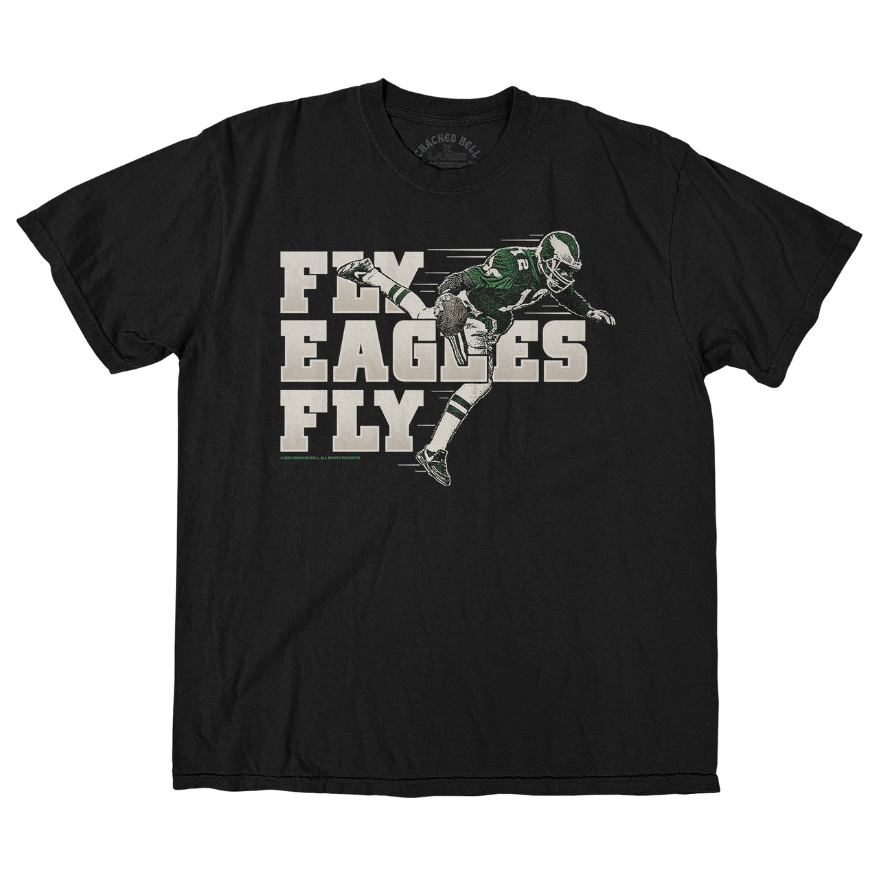 "Fly Eagles Fly" Shirt